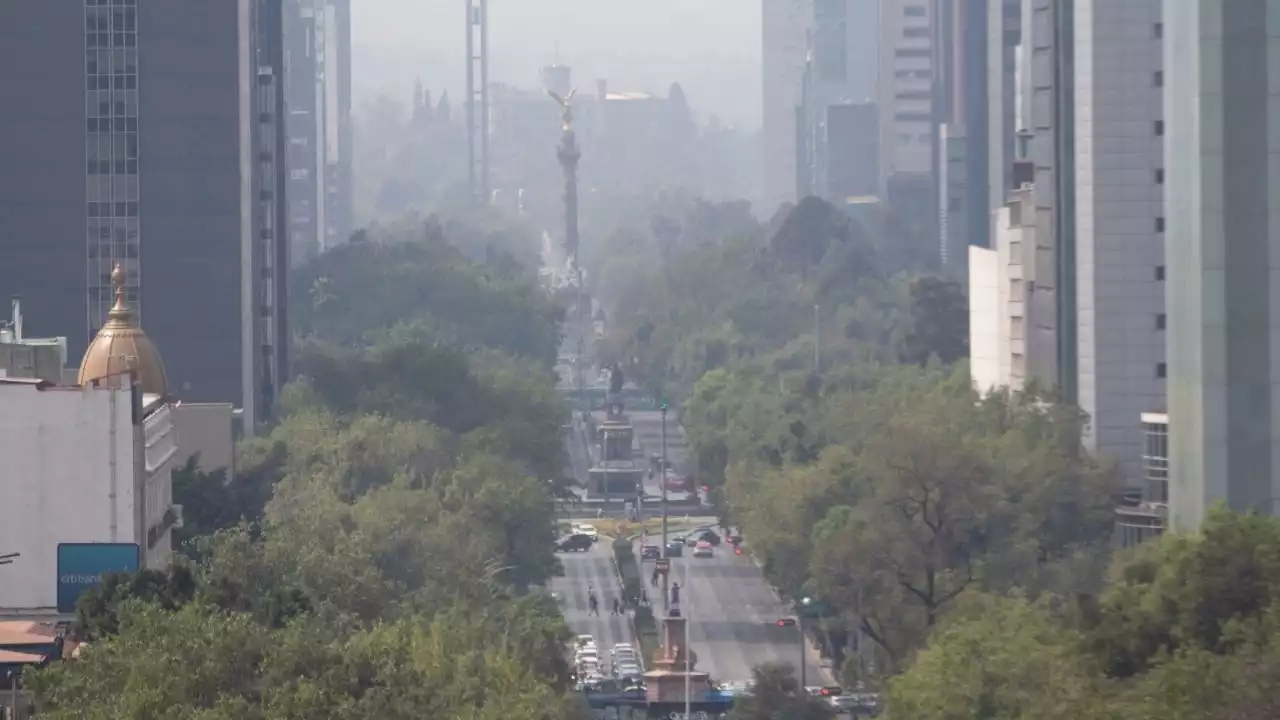 Activan fase 1 de contingencia ambiental en la zona sureste del Valle de México