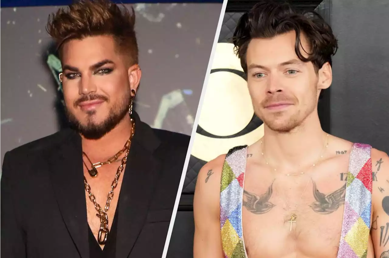 Adam Lambert Says Harry Styles Queerbaiting Accusations 'Insult Gay People's Intelligence'