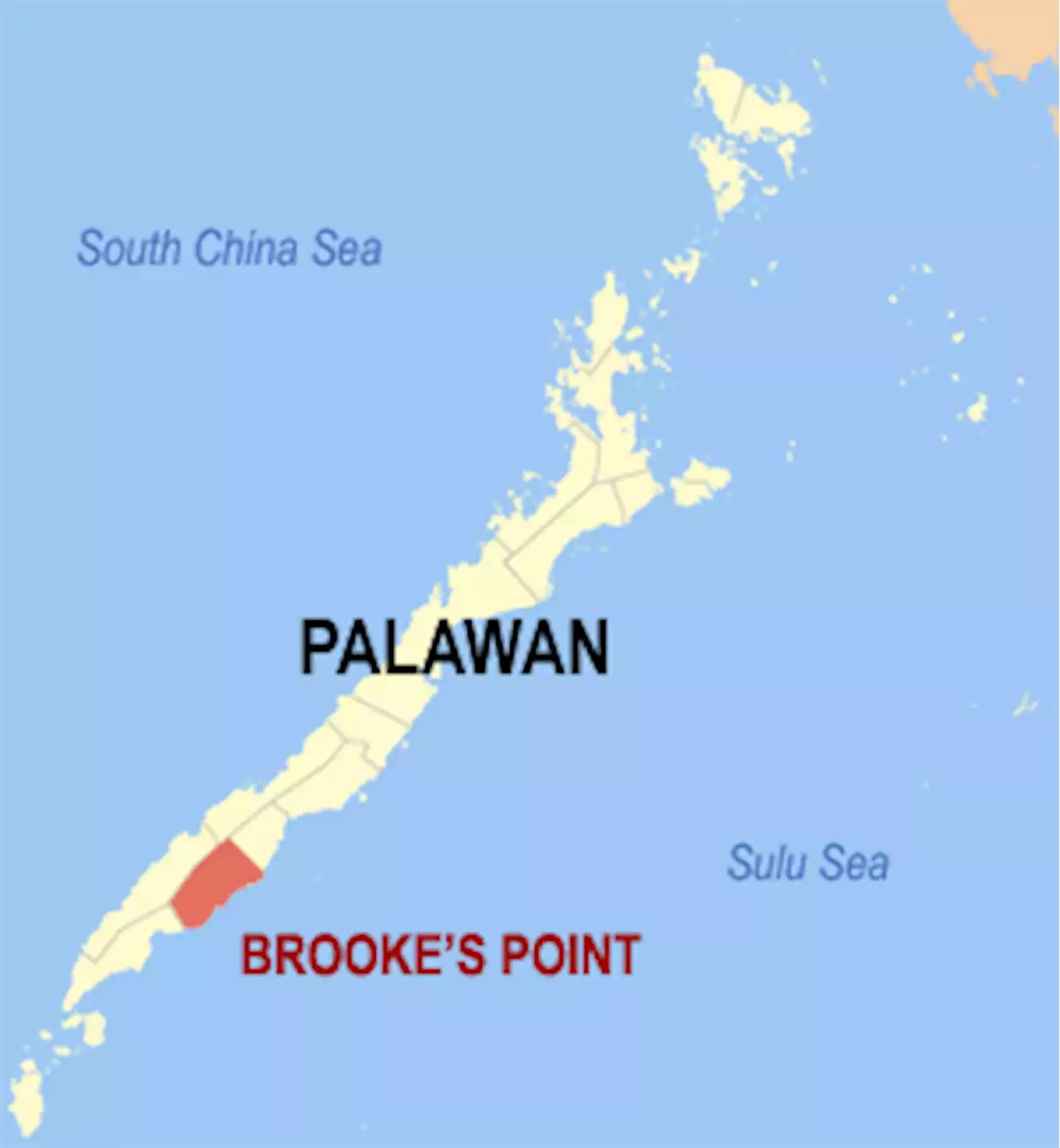 Brooke’s Point urges DENR to issue cease and desist order vs mining firm