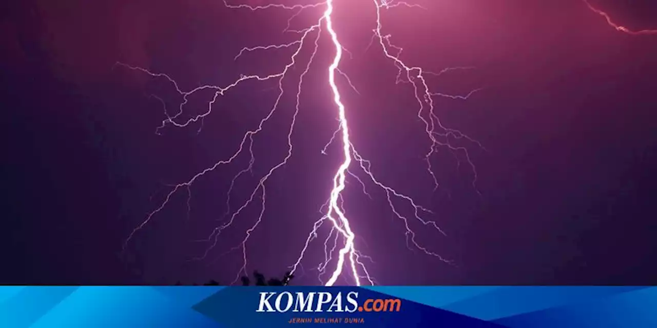 Jualan Saat Hujan, Ibu di Bima dan Anaknya Berusia 3 Tahun Luka Bakar Disambar Petir