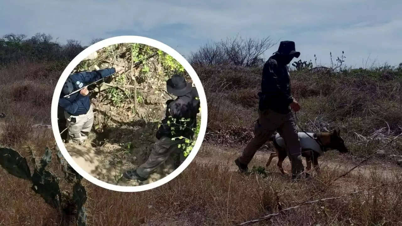 Buscan fosas clandestinas en fraccionamiento de la ciudad de Veracruz