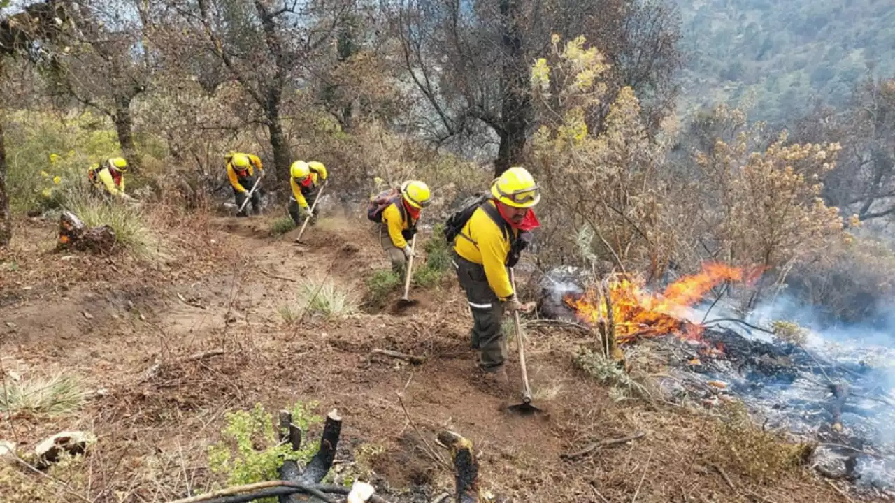 Siguen los incendios forestales, reportan uno en Nogales