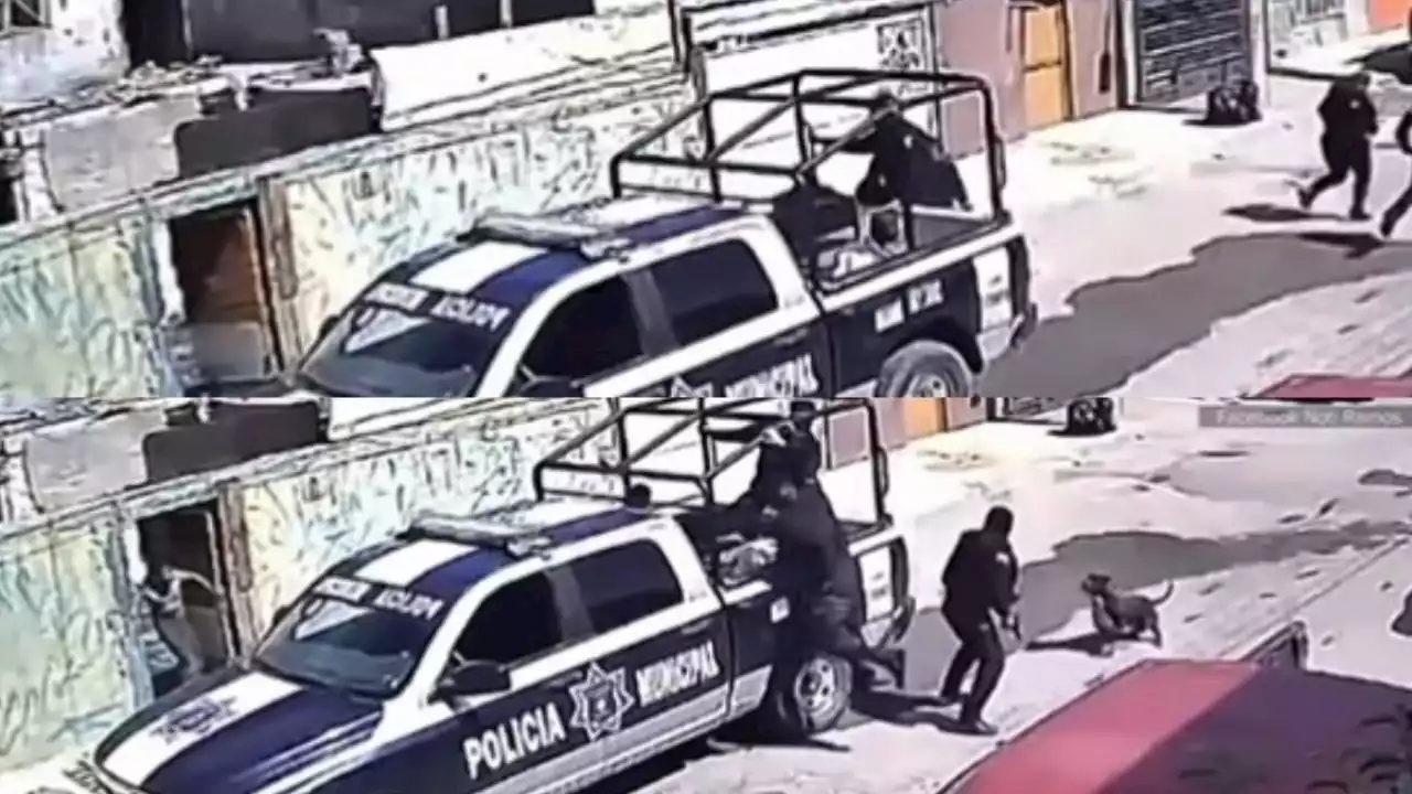 VIDEO | Cómplice de 4 Patas: Policías de Saltillo huyen de un pitbull; evitó un arresto