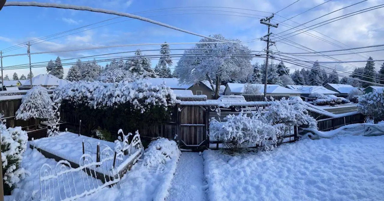 Snow on the ground at sea level: Wild weather on Northern California coast