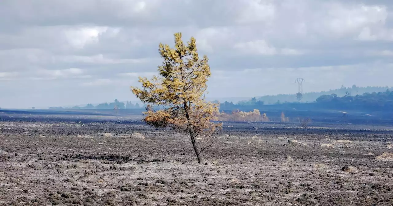 Réchauffement climatique : à quoi ressemblera une France à +4 degrés ?