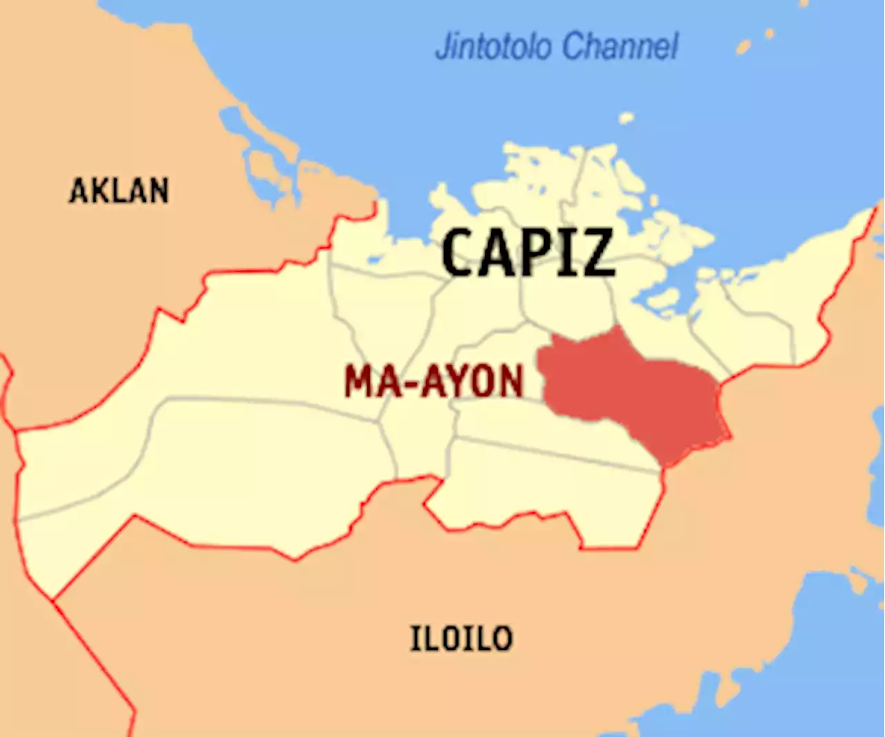 Capiz logs African Swine Fever cases