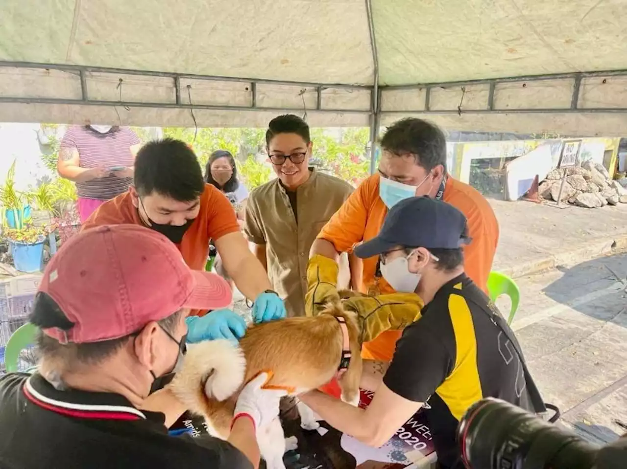 Pasig barangay vaccinates pets vs rabies; conducts free microchipping