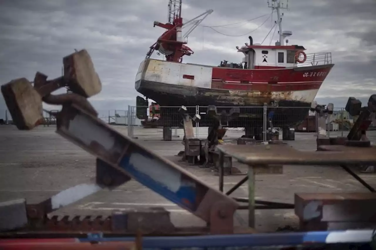 Brexit, crise énergétique, écologie : Pourquoi l'activité des marins-pêcheurs est-elle en péril ?