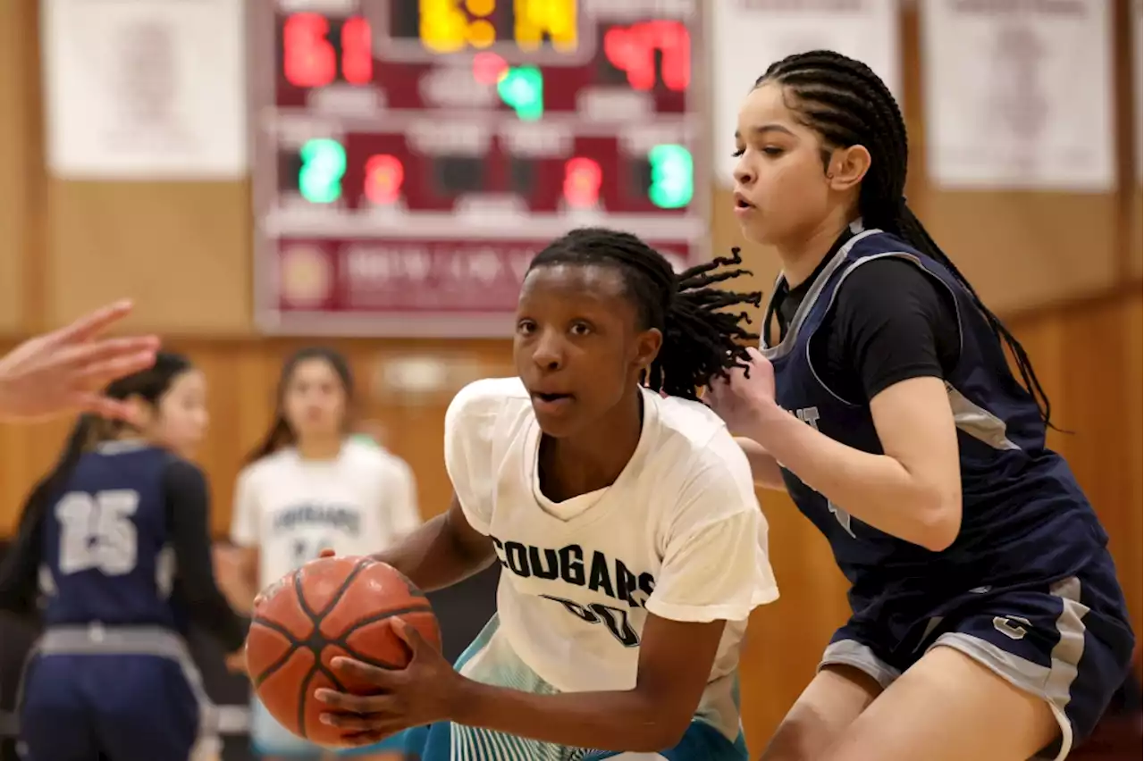 CCS basketball playoffs: How Evergreen Valley, Los Altos carved path to Division I title game