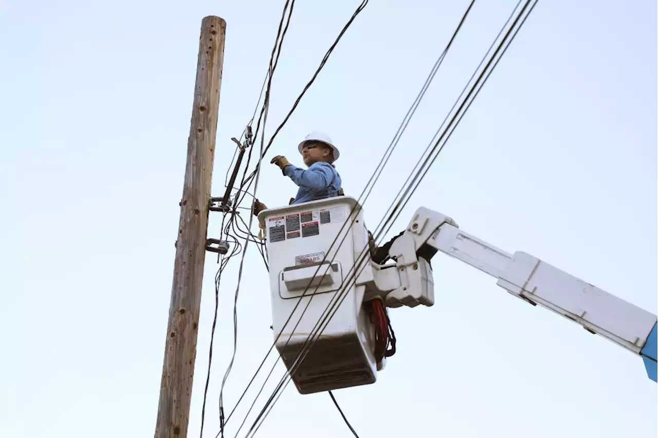 East Palo Alto: Thousands without power after tree falls on PG&E line along Highway 101