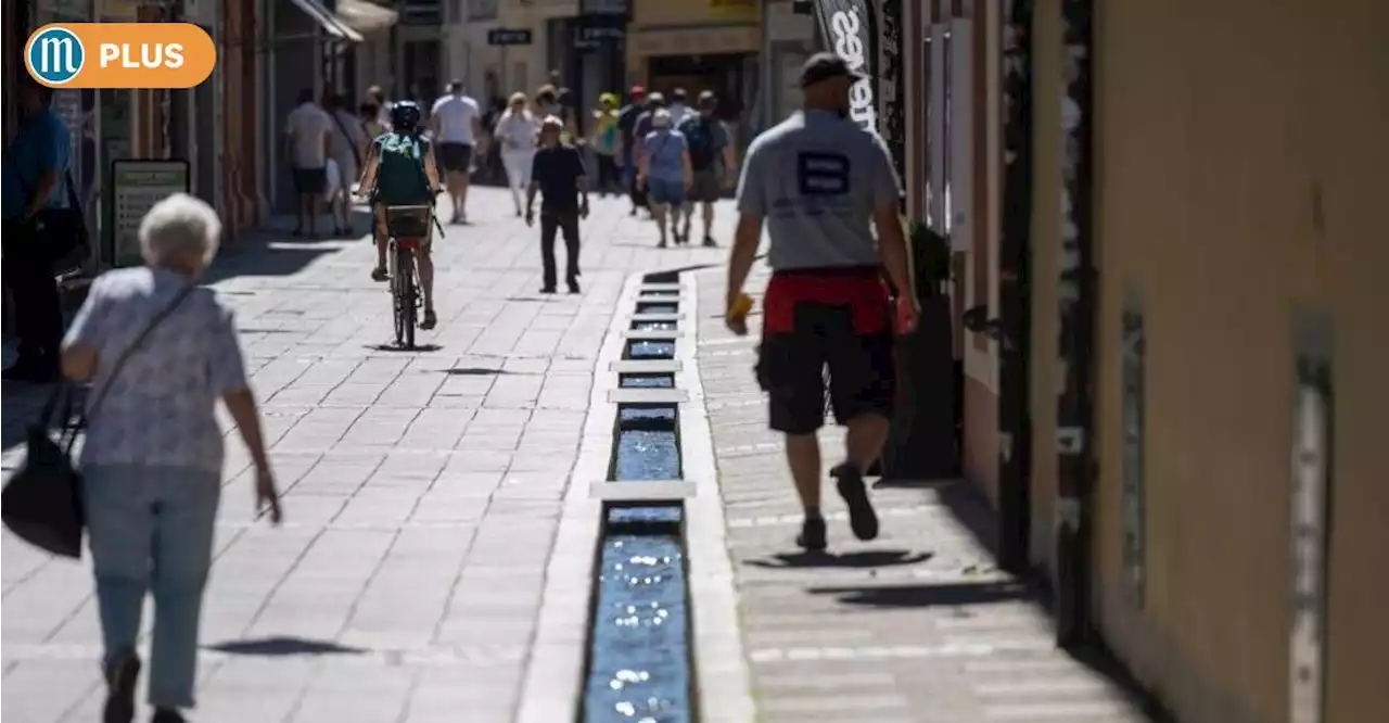 Stadtplaner-Idee: Bäche könnten Regensburger Altstadt im heißen Sommer abkühlen