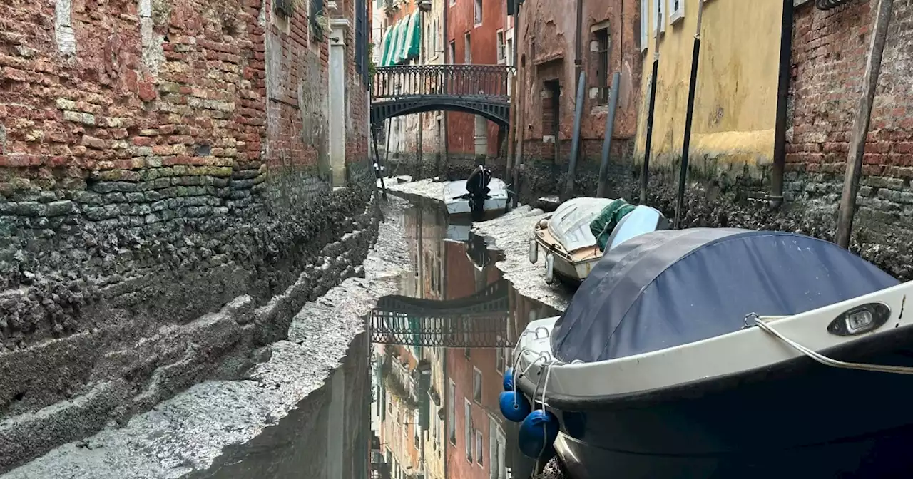 Gondolas left stranded as Venice's canals run dry