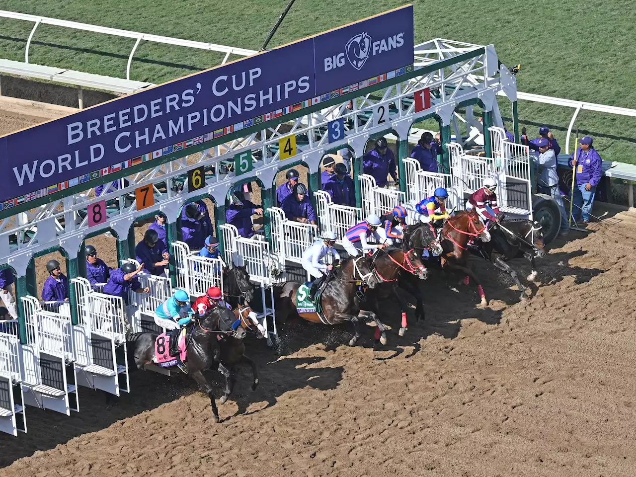 Breeder's Cup Returning to Del Mar in November 2024