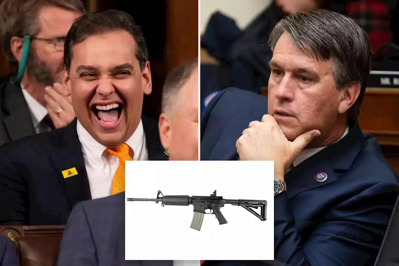 George Santos backs bill to make AR-15 America’s ‘National Gun’