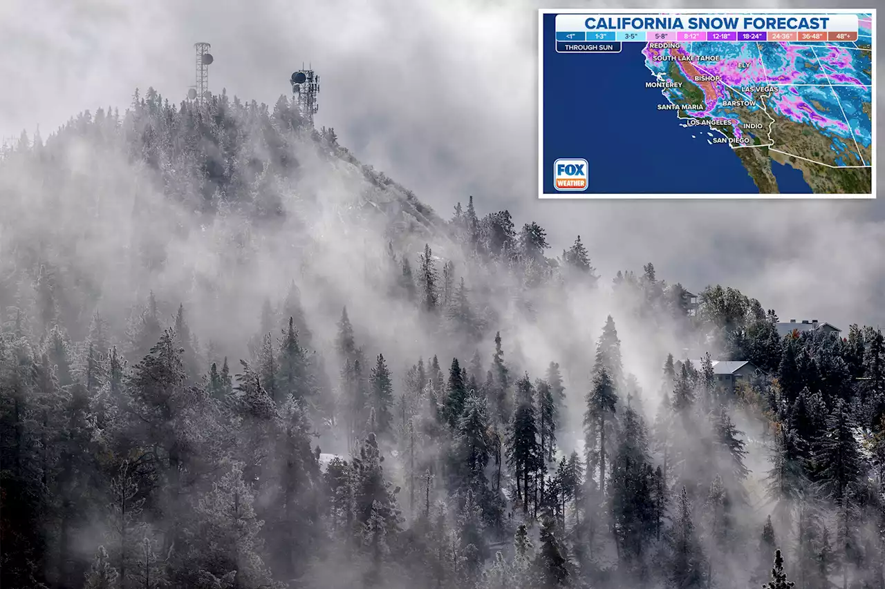 Rare blizzard warning issued for Los Angeles-area mountains