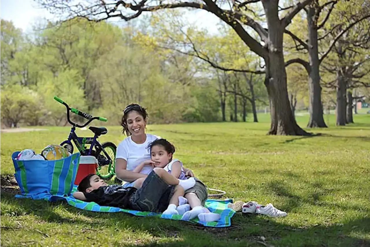 Philly will plant thousands of trees, hire a city forester, and tree and sidewalk inspectors