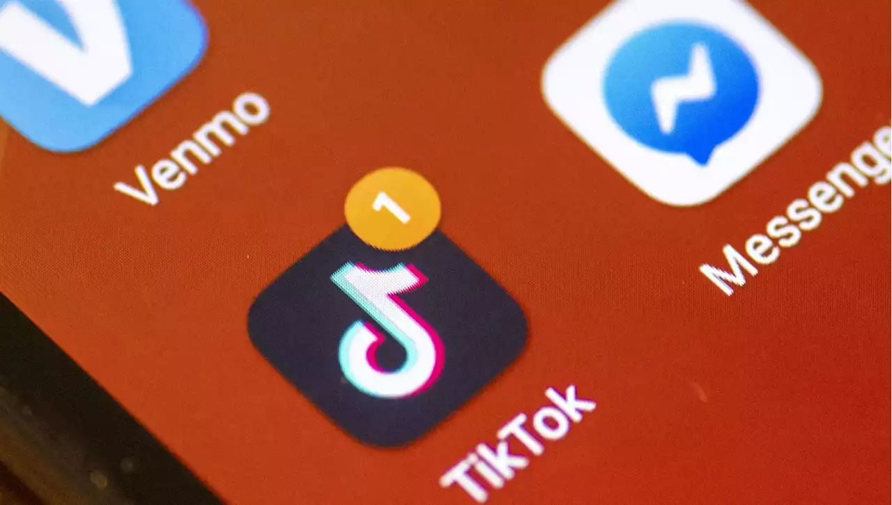 TikTok, stop Ue perché è cinese ma non solo