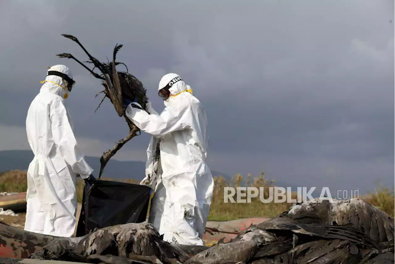 Para Ahli Penyakit Influenza Dunia Gelar Pertemuan Bahas Ancaman Flu Burung Baru |Republika Online