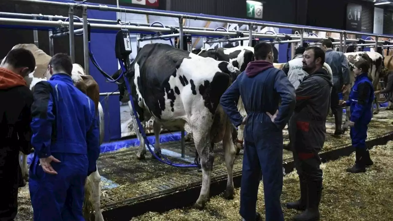 Au Salon de l'agriculture à Paris, Emmanuel Macron face aux inquiétudes du secteur