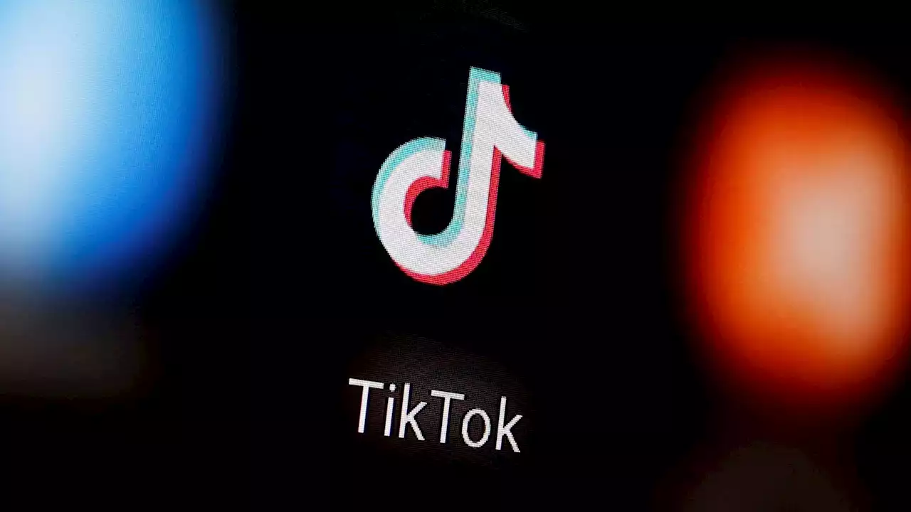 TikTok banned from EU Commission phones over cyberattack fears