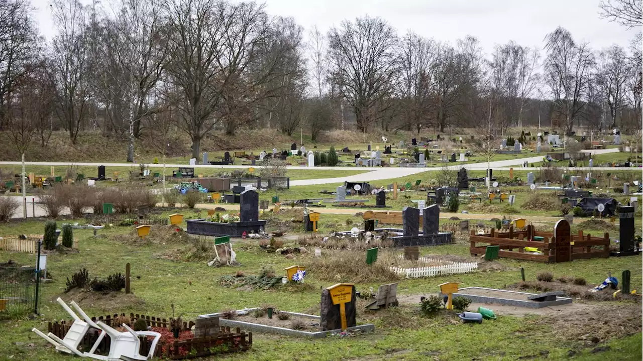 Immer wieder Abholzung in Berlin-Gatow?: Das große Rätsel um den Islamischen Friedhof