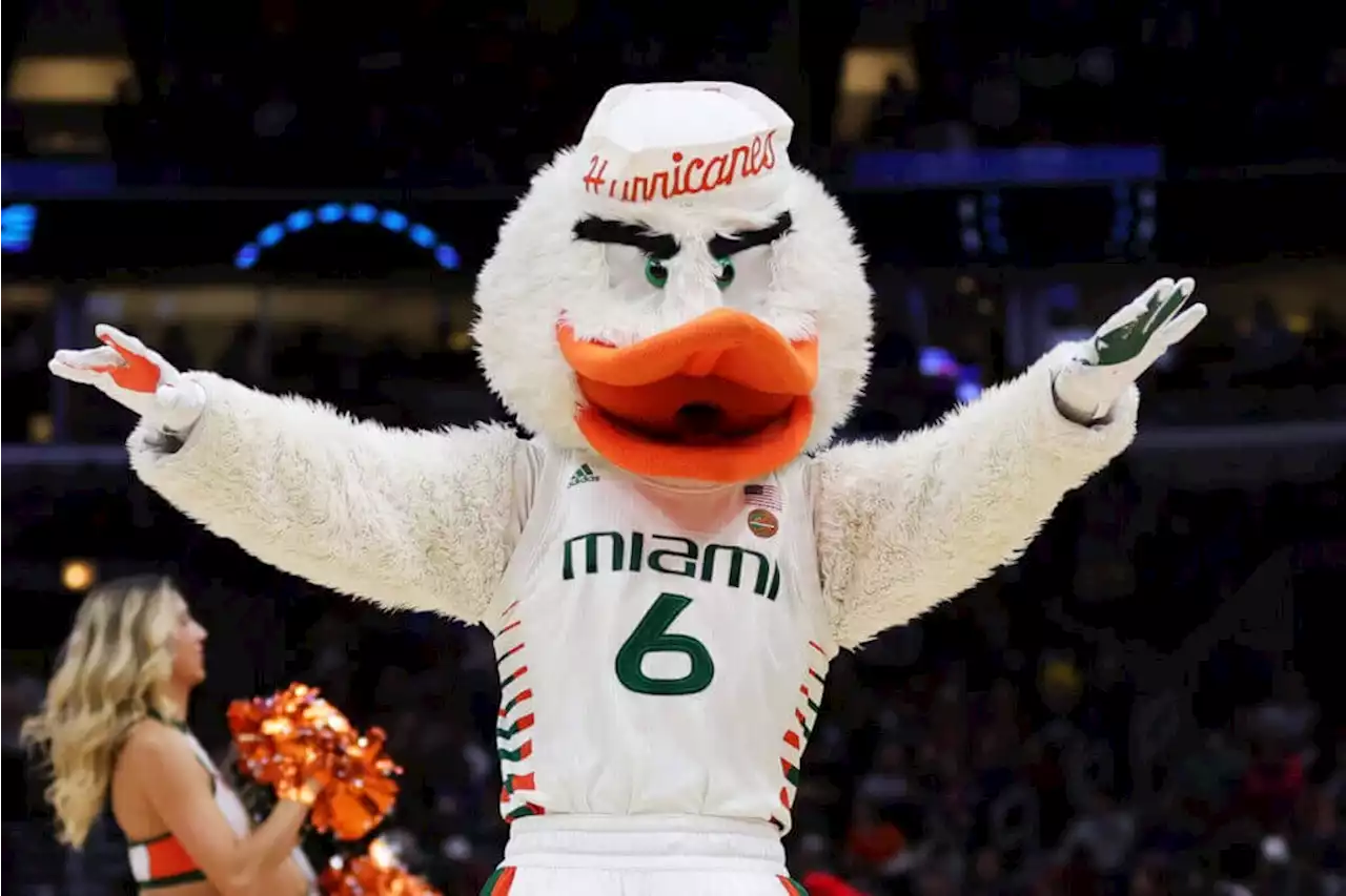 Miami avoids harsh penalty in NIL case, but NCAA points to 'stop sign'