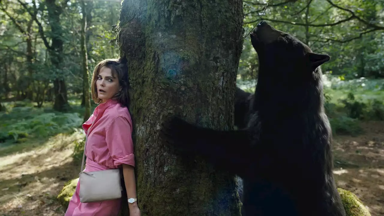 Cocaine Bear review: horror-comedy doesn't blow but offers few highs