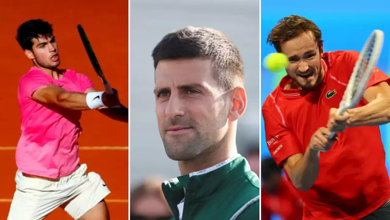 Novak Djokovic needs Carlos Alcaraz and Daniil Medvedev to push him on past Nadal and Serena