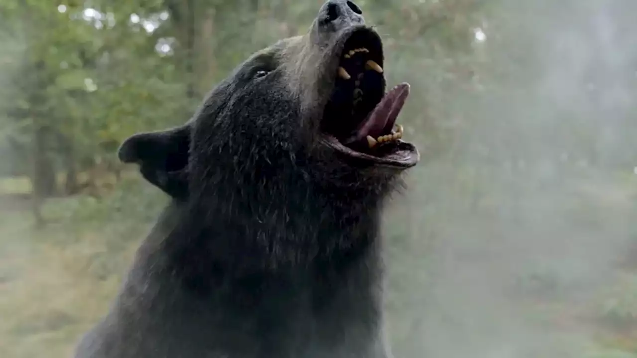 Panicked ‘Cocaine Bear’ Producers Scrambling To Expand 4 Minutes Of Social Media Clips Into Actual Movie