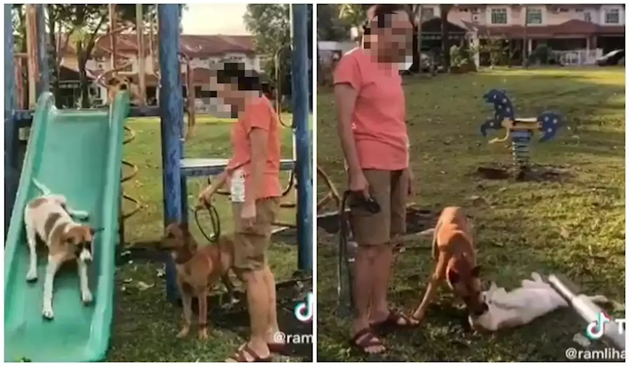 https://i.headtopics.com/images/2023/2/24/therakyatpost/man-scolds-aunty-for-letting-dogs-play-on-public-p-man-scolds-aunty-for-letting-dogs-play-on-public-p-1629008806649667585.webp