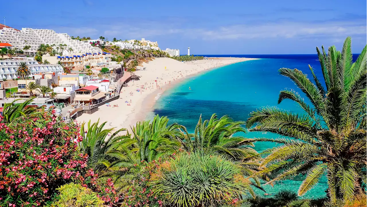 Top TripAdvisor-rated Canary Island hotels - from £758pp all inclusive in summer