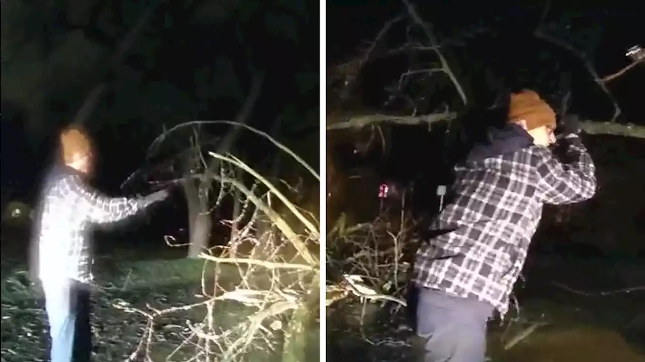 Jim Harbaugh Helps Police Officer Move Fallen Tree During Michigan Ice Storm