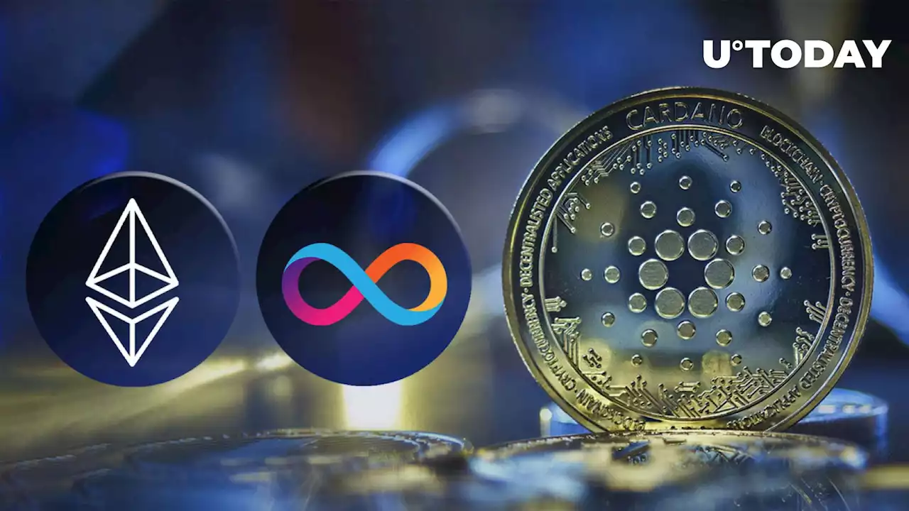 Cardano (ADA) Surpasses Ethereum (ETH), Internet Computer (ICP) in This Regard: Details