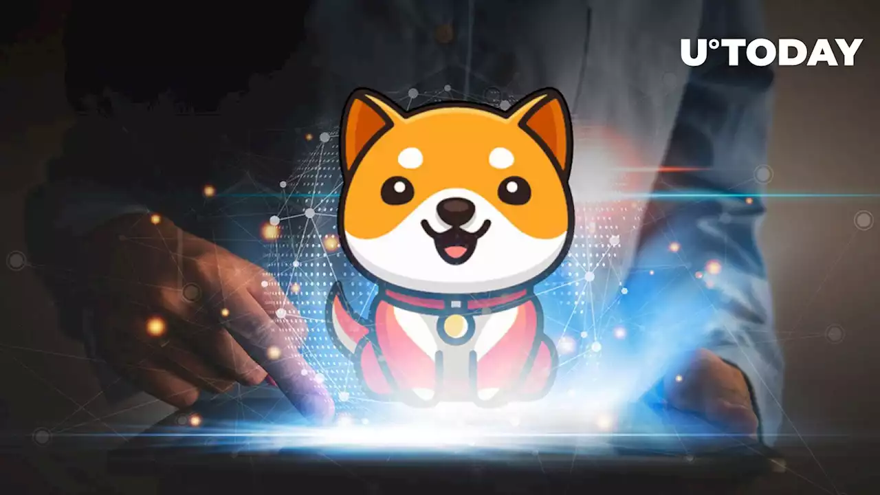 Crypto Scam: Dogecoin Spin-Off BabyDoge Shuts Down Airdrop Rumors