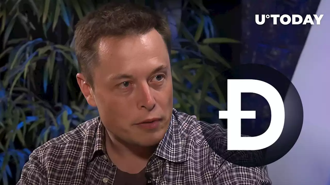 Elon Musk Angry With Dogecoin (DOGE) Creator on This Issue: Details