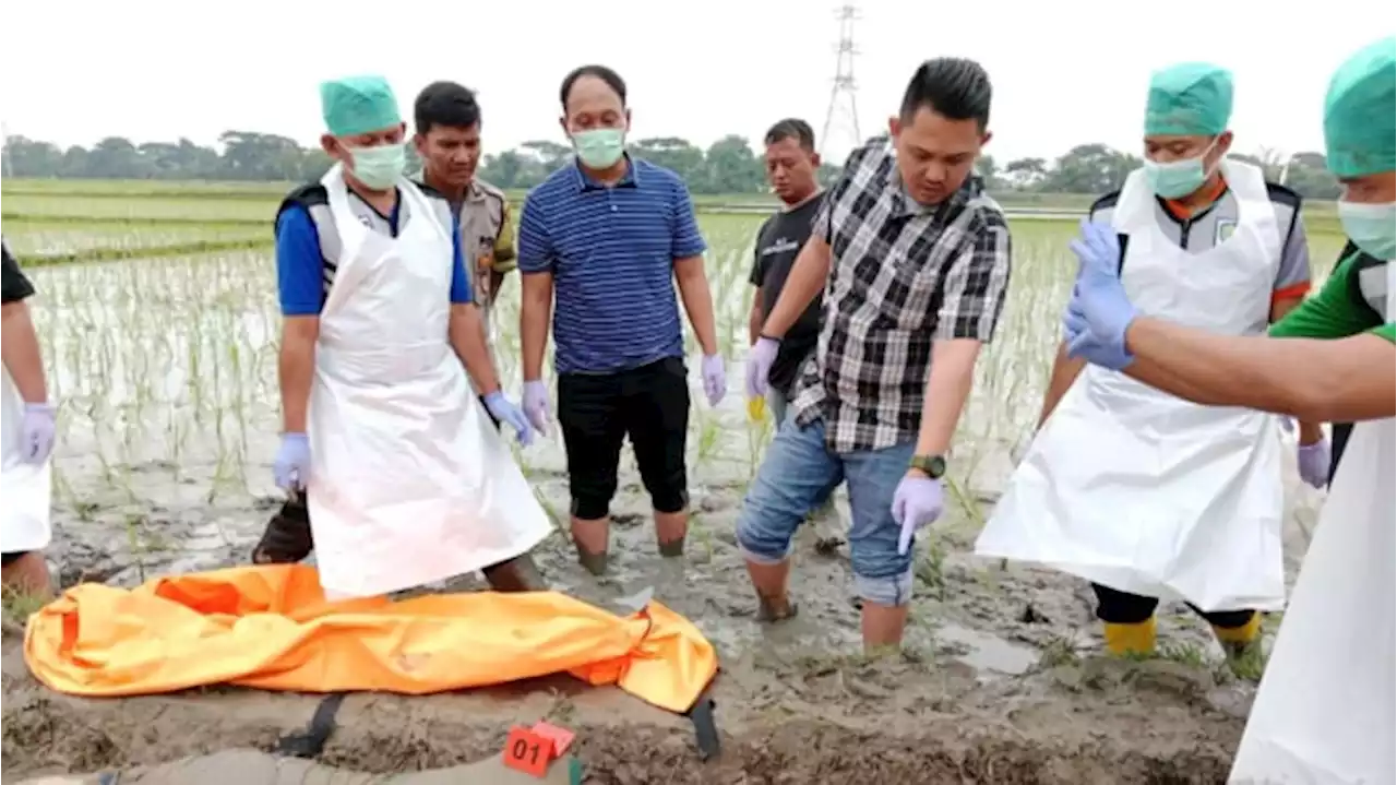 Mayat Bersimbah Darah Ditemukan di Sawah, Ada Golok Panjang di Sampingnya