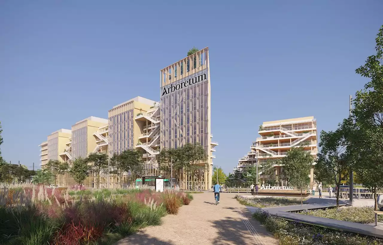 Le nouveau quartier d’affaires en bois sort de terre à Nanterre