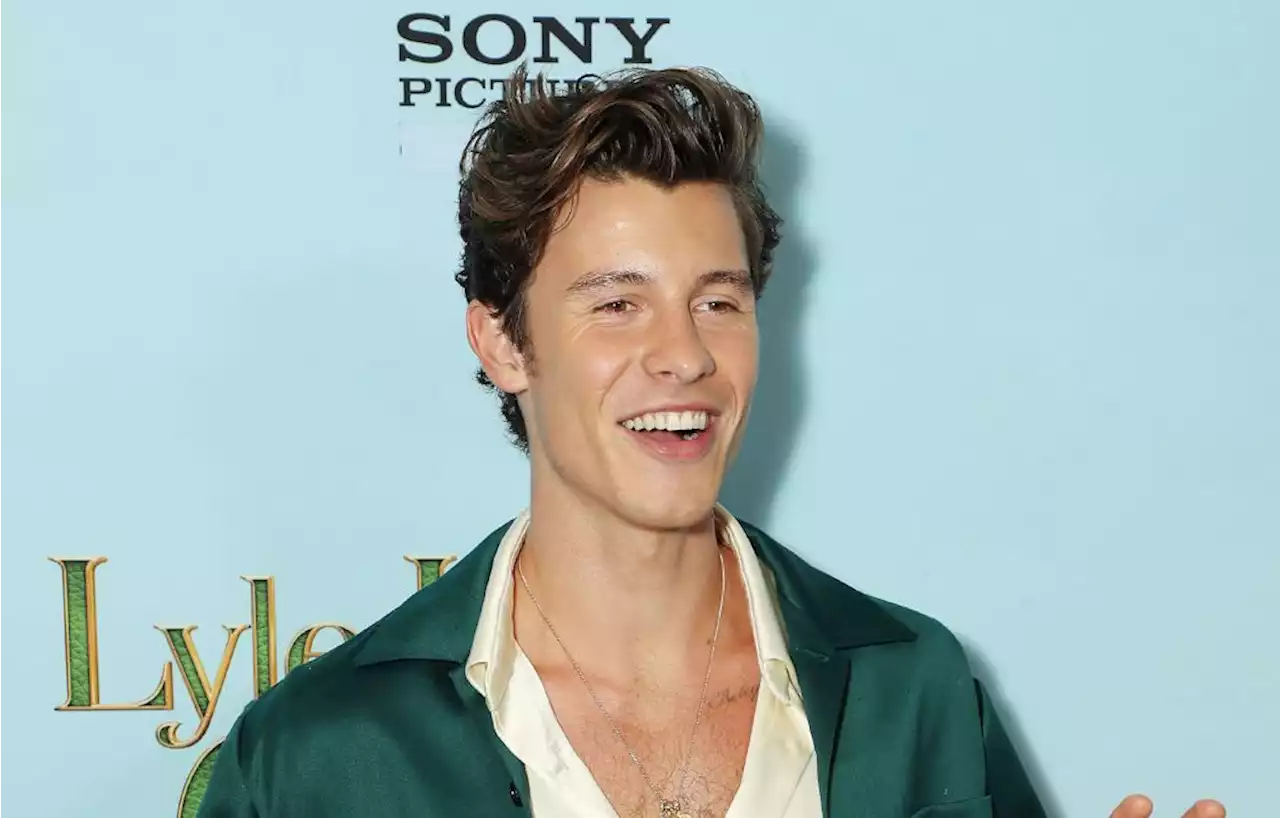 Shawn Mendes révèle pourquoi il s’est rasé le crâne