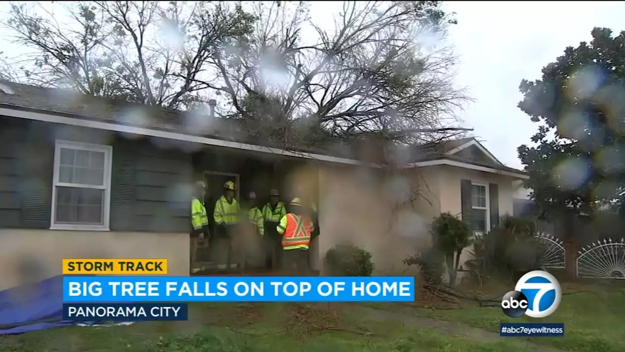 Large tree falls on Panorama City home of family who recently moved in