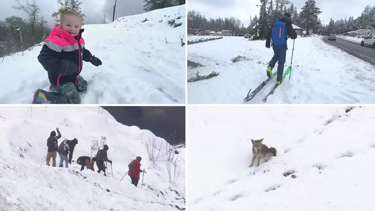 A look at the best snow videos from rare snowfall across Bay Area