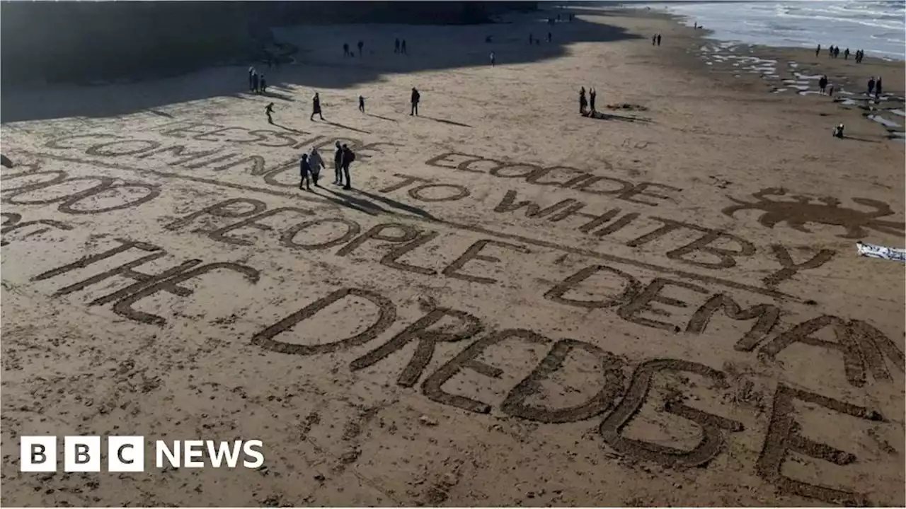 Whitby fishermen call for answers over shellfish deaths