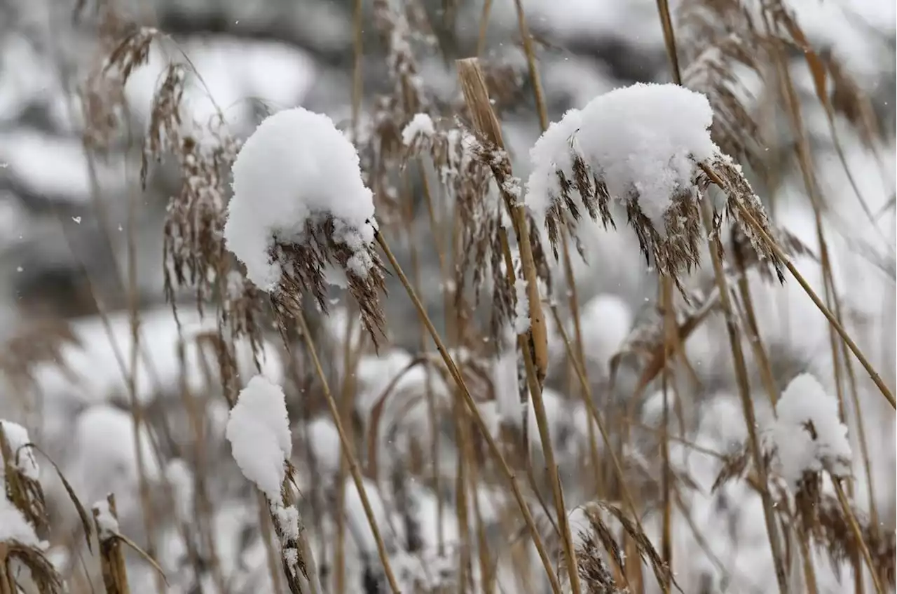 Winterwetter: Schnee zum Ferienende in Bayern