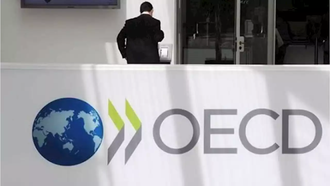 OECD Bagikan Kabar Baik, Ekonomi Dunia Gak Gelap Lagi!