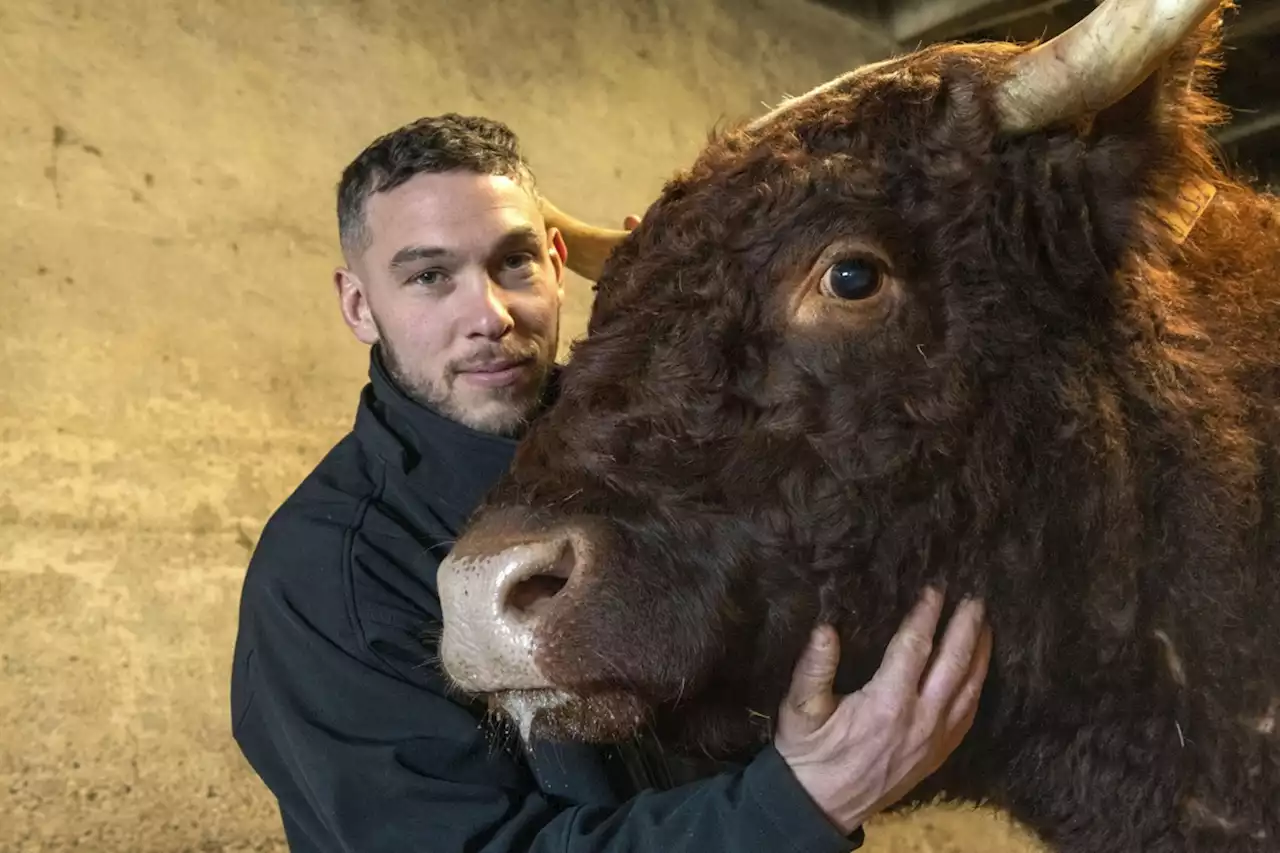 Salon de l'agriculture 2023 : 5 bonnes raisons de se rendre sur place