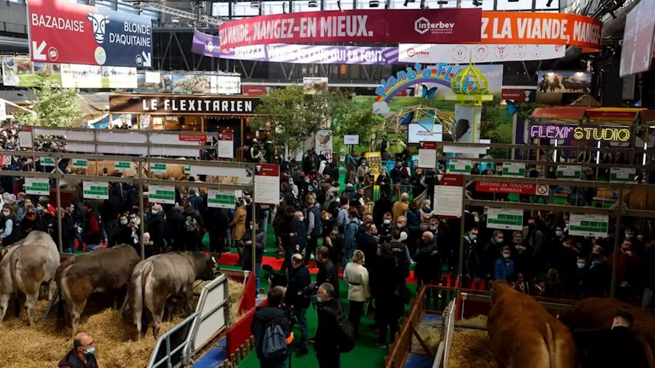 Salon de l’agriculture : Rihanna attend les visiteurs Porte de Versailles