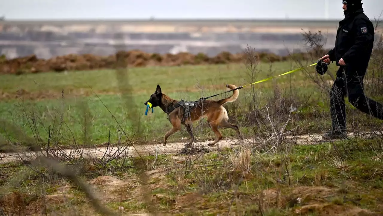 Hamburg-Lohbrügge: Mann greift Polizeihund Haix mit Messer an