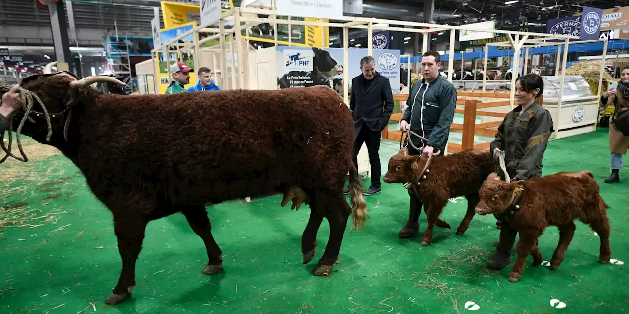 'Comme chaque année, on le fait' : le Salon de l'Agriculture retrouve son public