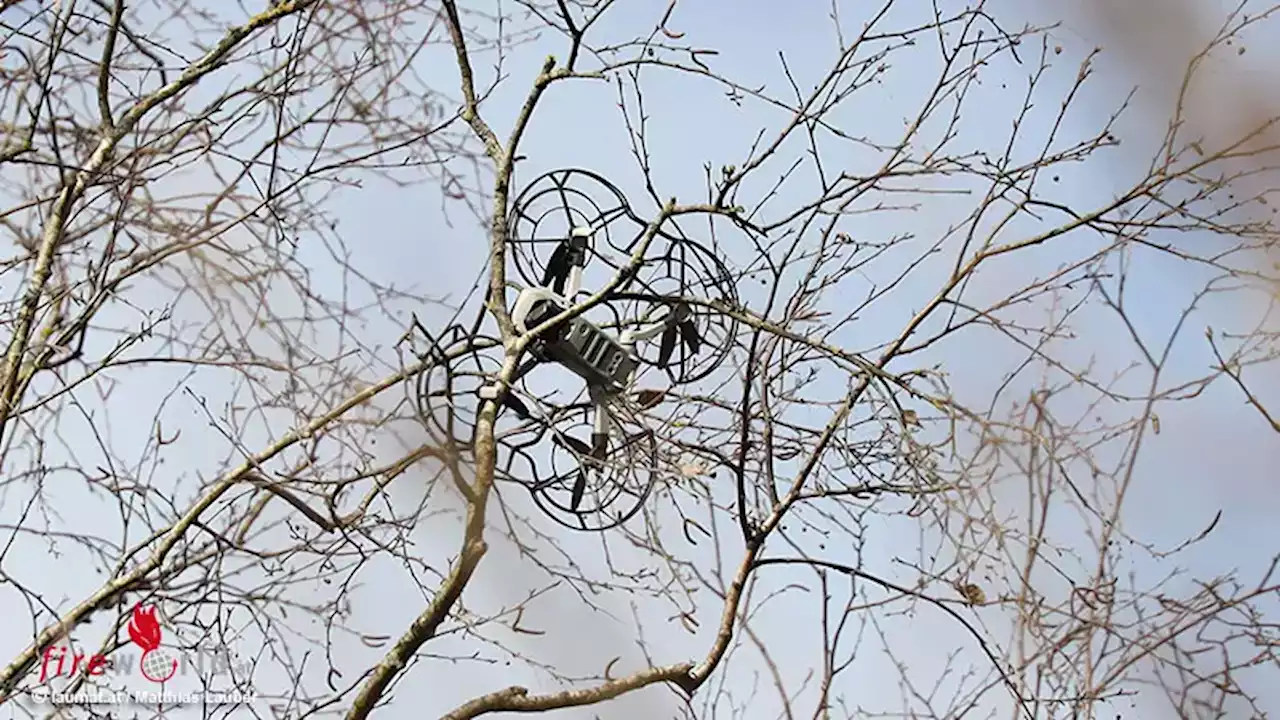 Oö: Feuerwehr holt Drohne in Wels vom Baum