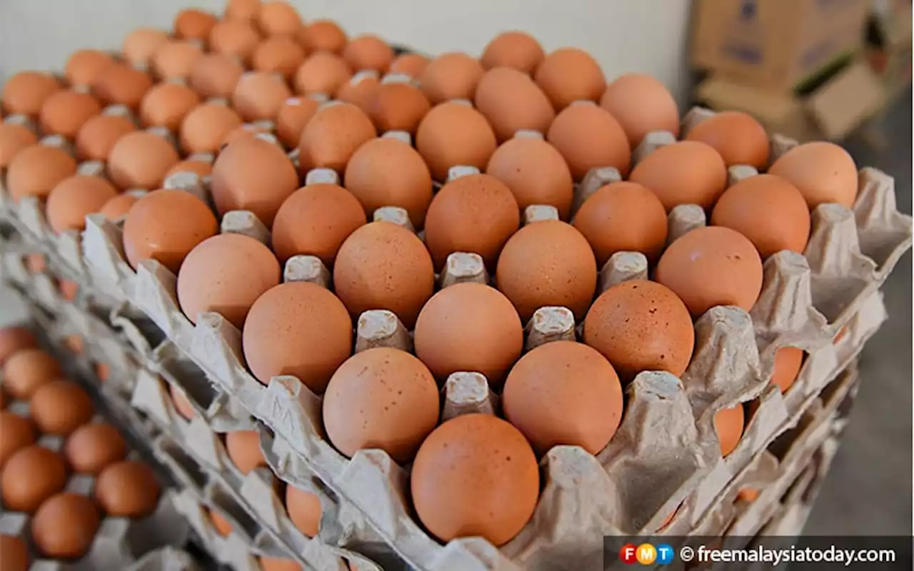 Masalah bekalan ayam, telur selesai menjelang Ramadan, kata menteri