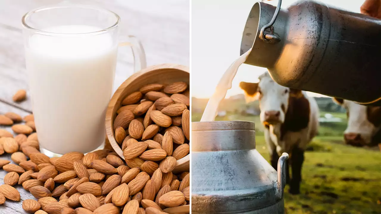 FDA proposes plant-based, dairy-free milk can be called 'milk' and asks for public feedback